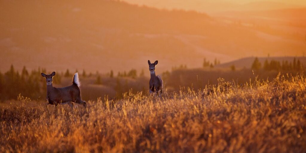 Thumbnail image for this article. No description given.